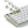 Glorious Raptor Standard Mechanical Switch, 5-Pin, clicky, MX-Stem, 55g - lubed, 36 pieces