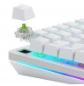 Glorious Raptor Standard Mechanical Switch, 5-Pin, clicky, MX-Stem, 55g - lubed, 36 pieces