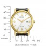 Citizen Eco-Drive BM6756-01A