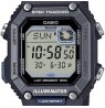 Casio Standard WS-B1000-1AVEF