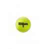 WILSON ROLAND GARROS (3) teniso kamuoliukai