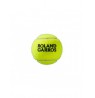 WILSON ROLAND GARROS (3) teniso kamuoliukai