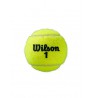 WILSON ROLAND GARROS (4) teniso kamuoliukai