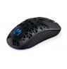 Gaming mouse ENDORFY LIV Wireless