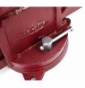 AWTOOLS AW24229 bench vices