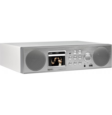 Telestar DABMAN i450 Portable Analog & digital Silver