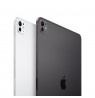 Apple iPad 11-inch Pro WiFi + Cellular 2TB with Nano-texture Glass - Silver