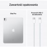 Apple iPad 13-inch Pro WiFi + Cellular 256GB with Standard glass - Silver