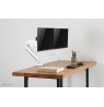 Neomounts NM-D775DXWHITE Monitor arm 10-32" - gas spring - Topfix - 180°-stop