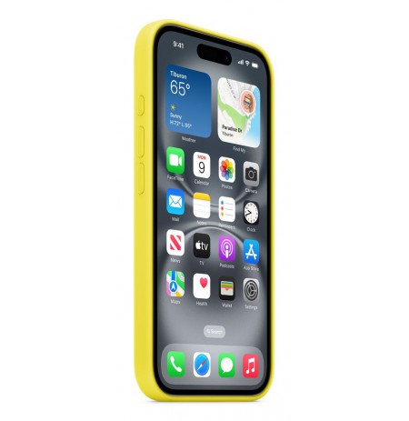 Apple iPhone 16 Silicone Case with MagSafe - Star Fruit
