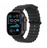 Apple Watch Ultra 2 GPS + Cellular 49mm Black Titanium Case with Black Ocean Band