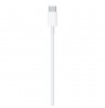 Apple USB-C to Lightning Cable (1m)