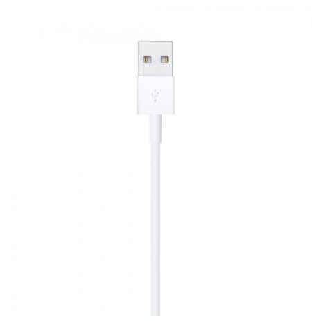 Apple Lightning to USB Cable (1m)