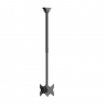 Neomounts CL35-340BL22 Dual Monitor/TV Mount Ceiling | Adjustable Height