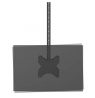 Neomounts CL35-340BL22 Dual Monitor/TV Mount Ceiling | Adjustable Height