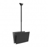 Neomounts CL35-340BL22 Dual Monitor/TV Mount Ceiling | Adjustable Height