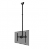 Neomounts CL35-440BL16L Monitor/TV Mount Ceiling | Adjustable Height