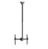 Neomounts CL35-440BL16L Monitor/TV Mount Ceiling | Adjustable Height
