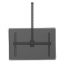 Neomounts CL35-440BL16L Monitor/TV Mount Ceiling | Adjustable Height