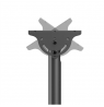 Neomounts CL35-440BL16L Monitor/TV Mount Ceiling | Adjustable Height