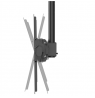 Neomounts CL35-440BL16XL Monitor/TV Mount Ceiling | Adjustable Height