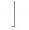 Neomounts CL35-440BL16XL Monitor/TV Mount Ceiling | Adjustable Height