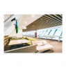 Neomounts FPMA-C020BLACK Monitor/TV Mount Ceiling | Adjustable Height