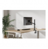 Neomounts Desk Mount | DS60-425BL1 Monitor arm | Adjustable Height