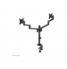 Neomounts Desk Mount | DS60-425BL2 Monitor Arm | Adjustable Height