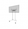 Neomounts Floor stand | FL55-875WH1 TV trolley | Adjustable Height | 55-100 " | Maximum weight (capacity) 110 kg | White