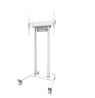 Neomounts Floor stand | FL55-875WH1 TV trolley | Adjustable Height | 55-100 " | Maximum weight (capacity) 110 kg | White