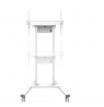 Neomounts Floor stand | FL55-875WH1 TV trolley | Adjustable Height | 55-100 " | Maximum weight (capacity) 110 kg | White