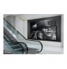 Neomounts Wall mount | WL95-800BL1 Videowall wall mount | 42-70 " | Maximum weight (capacity) 35 kg | Black