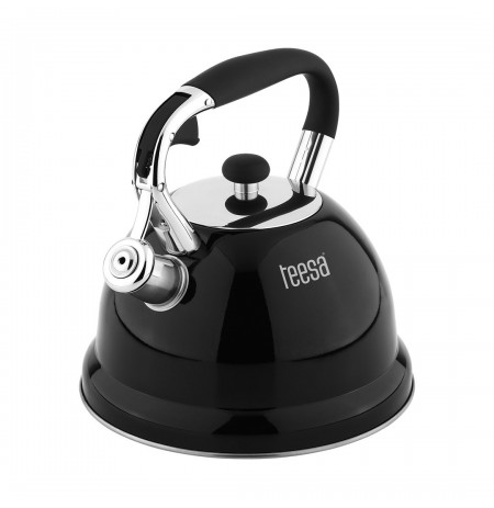 Stainless steel kettle with 3L whistle