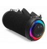 Denver BTG-213 portable/party speaker Black 10 W