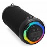 Denver BTG-213 portable/party speaker Black 10 W