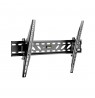 Basic Wall Mount 37-70 inch black LCD/PDP LP09