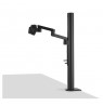 ASUS ZenScreen MB249C 60.5cm (16:9) FHD HDMI