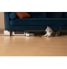 Roborock F25 RT Stick vacuum Battery Dry&wet Bagless White 2.5 Ah