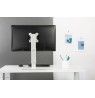 Neomounts FPMA-D890WHITE Monitor stand 10-30"