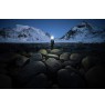 Ansmann HD450FRS Black, Grey Headband flashlight LED