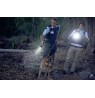 Ansmann Pro 3000R Black Hand flashlight LED