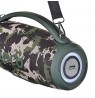 HOCO HA4 Surge Portable Speaker Blutooth/ FM/ TF card/ USB memory stick/ AUX 2 x 20 W Green