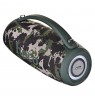 HOCO HA4 Surge Portable Speaker Blutooth/ FM/ TF card/ USB memory stick/ AUX 2 x 20 W Green