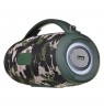 HOCO HA4 Surge Portable Speaker Blutooth/ FM/ TF card/ USB memory stick/ AUX 2 x 20 W Green