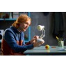 LEGO IDEAS 21357 Disney Pixar Luxo Jr.