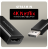 AXAGON Active adapter RVD-HI20N | DisplayPort to HDMI | 0.15 m
