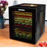 Gastroback 46605 Design Dehydrator Vision Pro