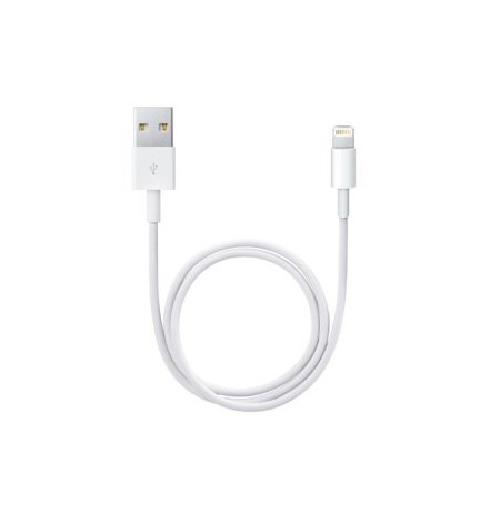 Lightning to USB Cable (0.5 m)