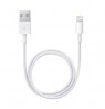 Lightning to USB Cable (0.5 m)